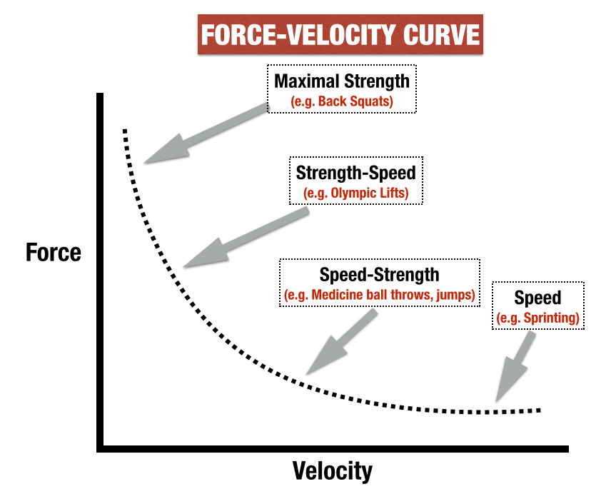 Force velocity curve